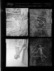 Woman murdered and hidden in the woods (Disclaimer: Body Pictured) (4 Negatives) 1955 [Sleeve 37, Folder d, Box 8]